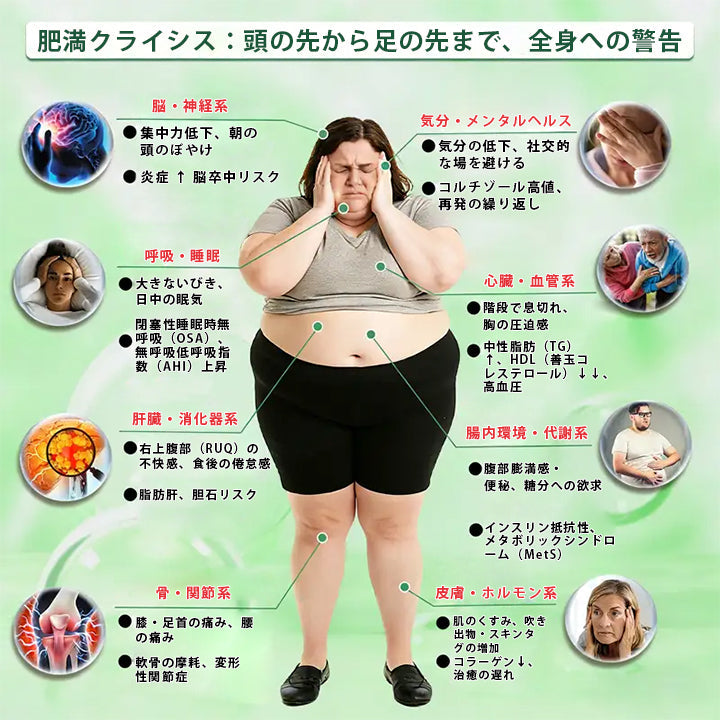 👩‍⚕️👩‍⚕️Mickey® モリンガ＆ベルベリン×NAD+ 10-in-1 アドバンストナノマイクロニードルパッチ👩‍⚕️（1日1回、7日で実感できる変化） ✅✅ 肥満、たるみ肌、糖尿病などに。