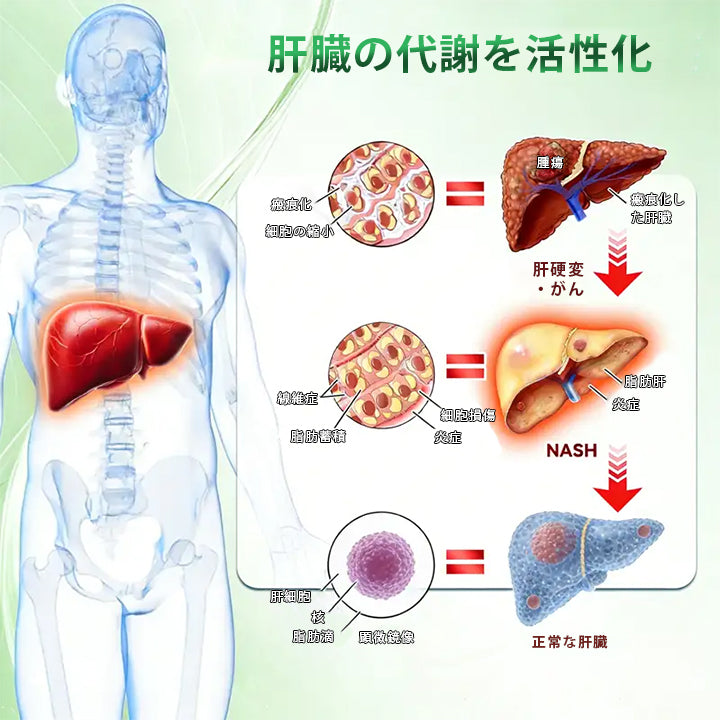 👩‍⚕️👩‍⚕️Mickey® モリンガ＆ベルベリン×NAD+ 10-in-1 アドバンストナノマイクロニードルパッチ👩‍⚕️（1日1回、7日で実感できる変化） ✅✅ 肥満、たるみ肌、糖尿病などに。