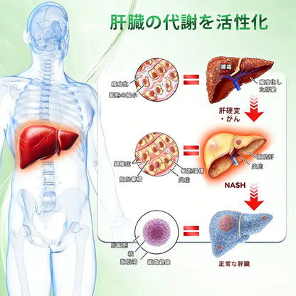 👩‍⚕️👩‍⚕️Mickey® モリンガ＆ベルベリン×NAD+ 10-in-1 アドバンストナノマイクロニードルパッチ👩‍⚕️（1日1回、7日で実感できる変化） ✅✅ 肥満、たるみ肌、糖尿病などに。
