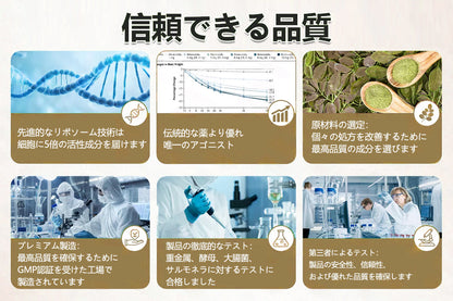 Mickey®＆NAD+ 8-in-1強化フォーミュラナノニードルパッチ – 肥満、たるんだ肌、糖尿病、睡眠時無呼吸、関節の問題、その他の健康上の悩みに対応👩‍⚕️👩‍⚕️👩‍⚕️