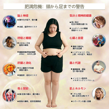 Mickey®＆NAD+ 8-in-1強化フォーミュラナノニードルパッチ – 肥満、たるんだ肌、糖尿病、睡眠時無呼吸、関節の問題、その他の健康上の悩みに対応👩‍⚕️👩‍⚕️👩‍⚕️